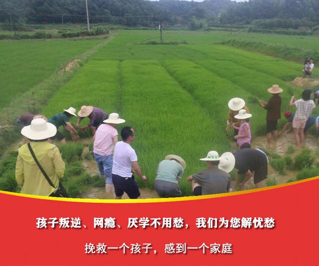 少年叛逆学校(少年叛逆学校哪里好)(图1)