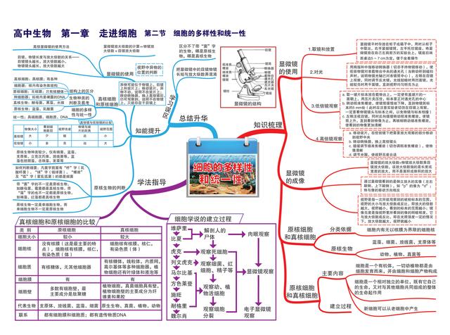 高中孩子不好好学怎么办(高中的孩子不好好上学怎么办)(图1)