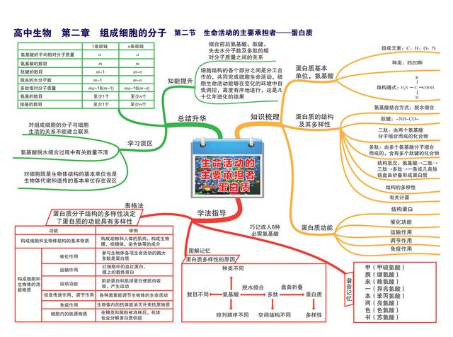 高中孩子不好好学怎么办(高中的孩子不好好上学怎么办)(图3)