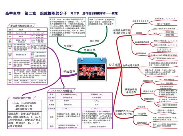 高中孩子不好好学怎么办(高中的孩子不好好上学怎么办)(图4)