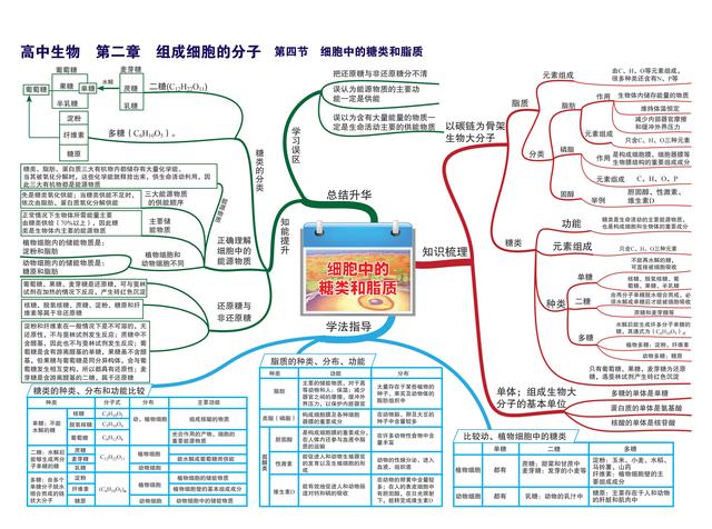 高中孩子不好好学怎么办(高中的孩子不好好上学怎么办)(图5)