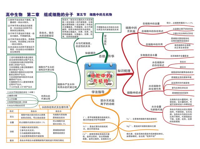 高中孩子不好好学怎么办(高中的孩子不好好上学怎么办)(图6)