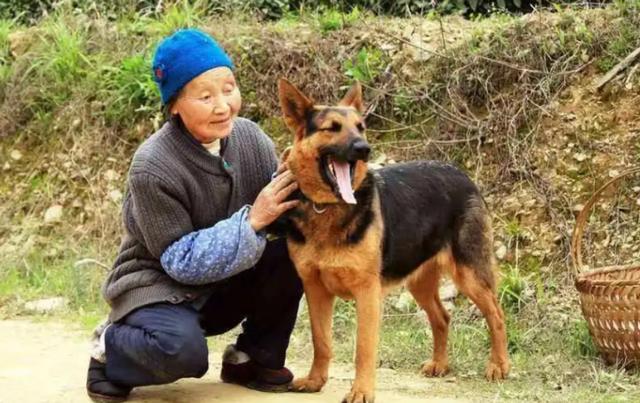 孩子离家出走暗示什么(离家出走的孩子都是什么下场)(图12)