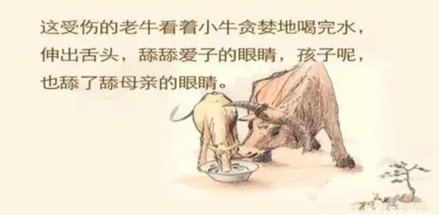 孩子离家出走暗示什么(离家出走的孩子都是什么下场)(图15)