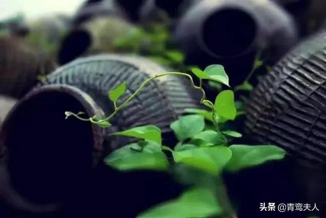 如何关爱离家出走孩子(孩子离家出走如何能快速找到)(图3)