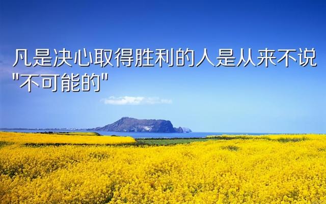 怎么对父母说退学(退学怎么跟老师说)(图4)