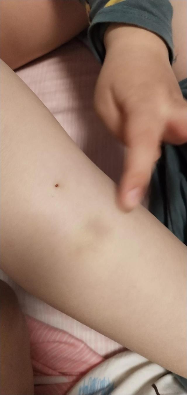 五岁孩子不听话该不该打(2岁多孩子不听话该不该打)(图4)