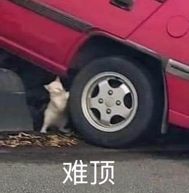 高中上课玩手机被开除(高中上课玩手机被开除合法)(图10)
