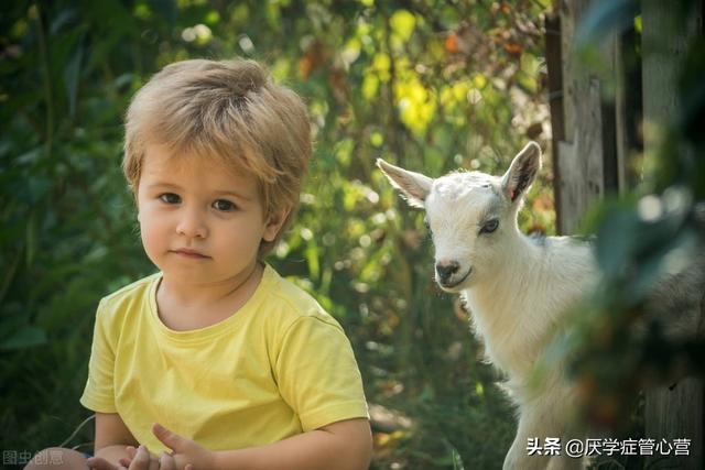 孩子休学后不愿上学(孩子休学后再次上学焦虑症反复)(图2)