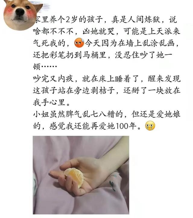 如何教导叛逆期的孩子(怎么去教导叛逆期的孩子)(图17)