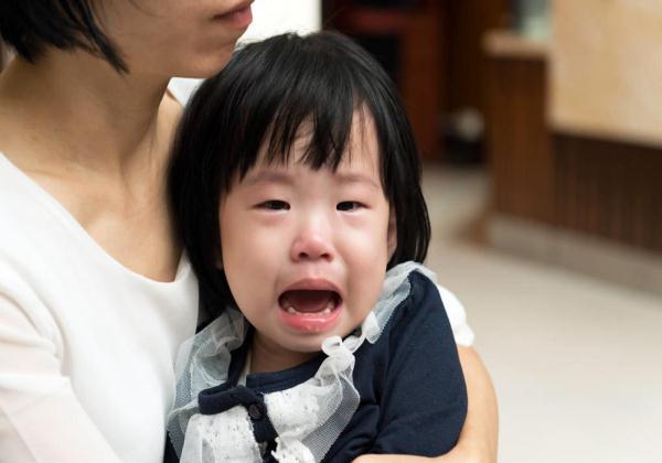 怎么看待孩子顶嘴问题(如何看待孩子顶嘴行为)(图1)