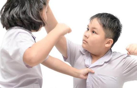 爱动手的孩子怎么教育(孩子爱动手打人怎么教育)(图4)