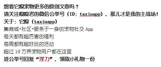 离家出走最好的理由(离家出走最好去的地方)(图12)