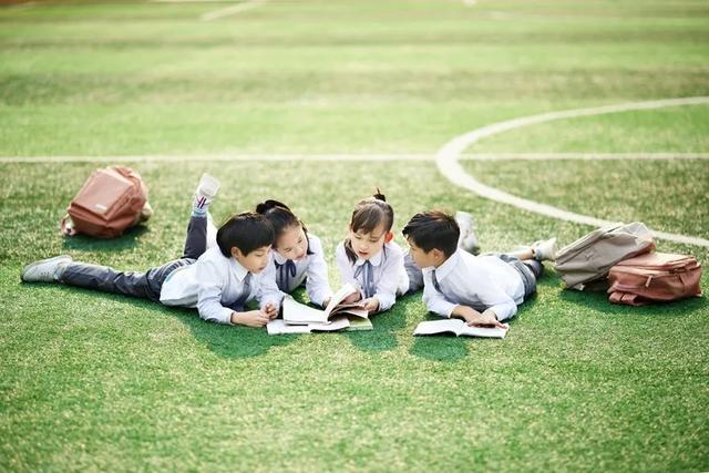 爱打架的孩子如何解决(孩子在学校打架如何处理)(图1)