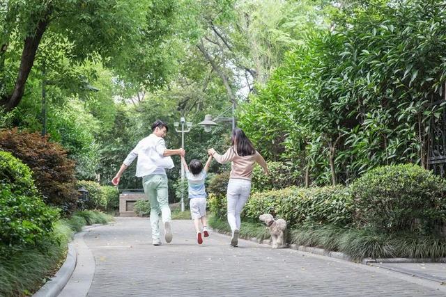 爱打架的孩子如何解决(孩子在学校打架如何处理)(图3)